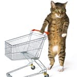 Whiskas Consumer Cat